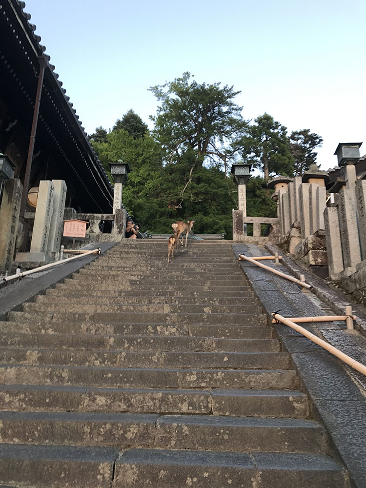 東大寺二月堂