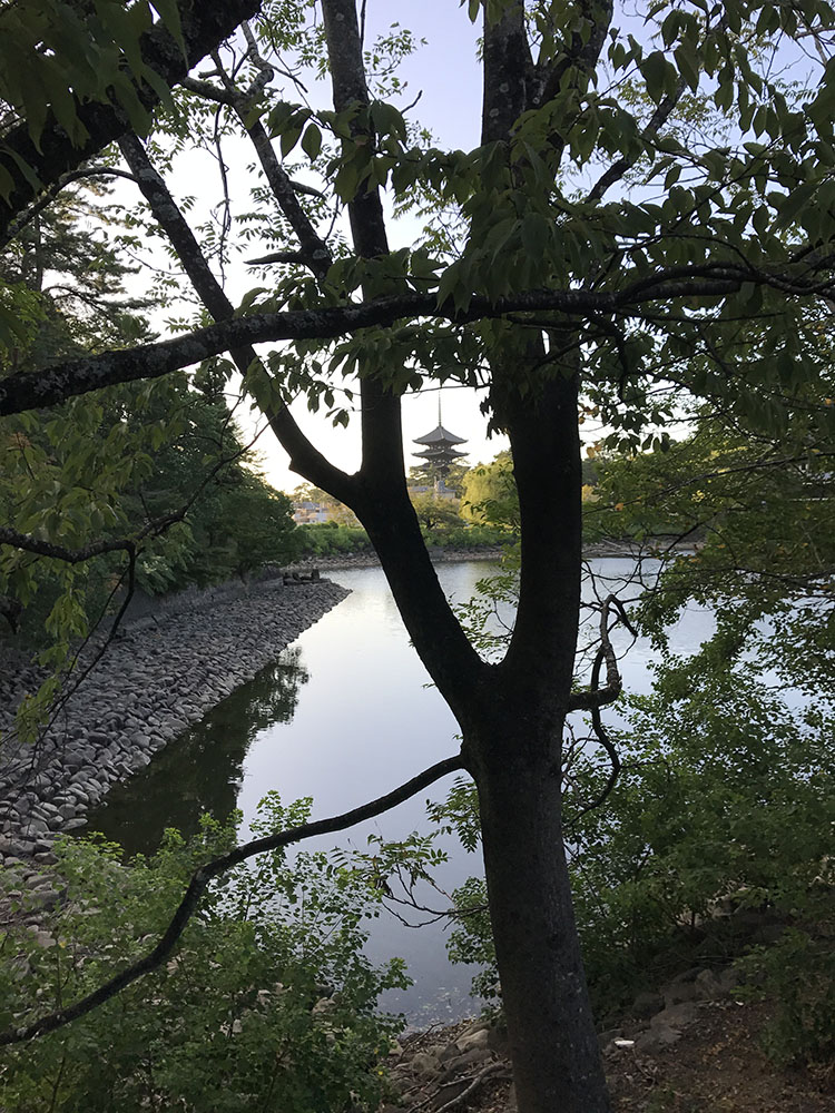 池と興福寺五重塔