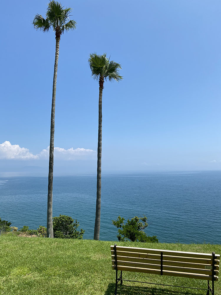 丘の上からの海