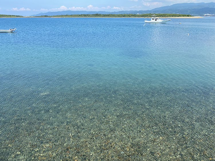 天草の海