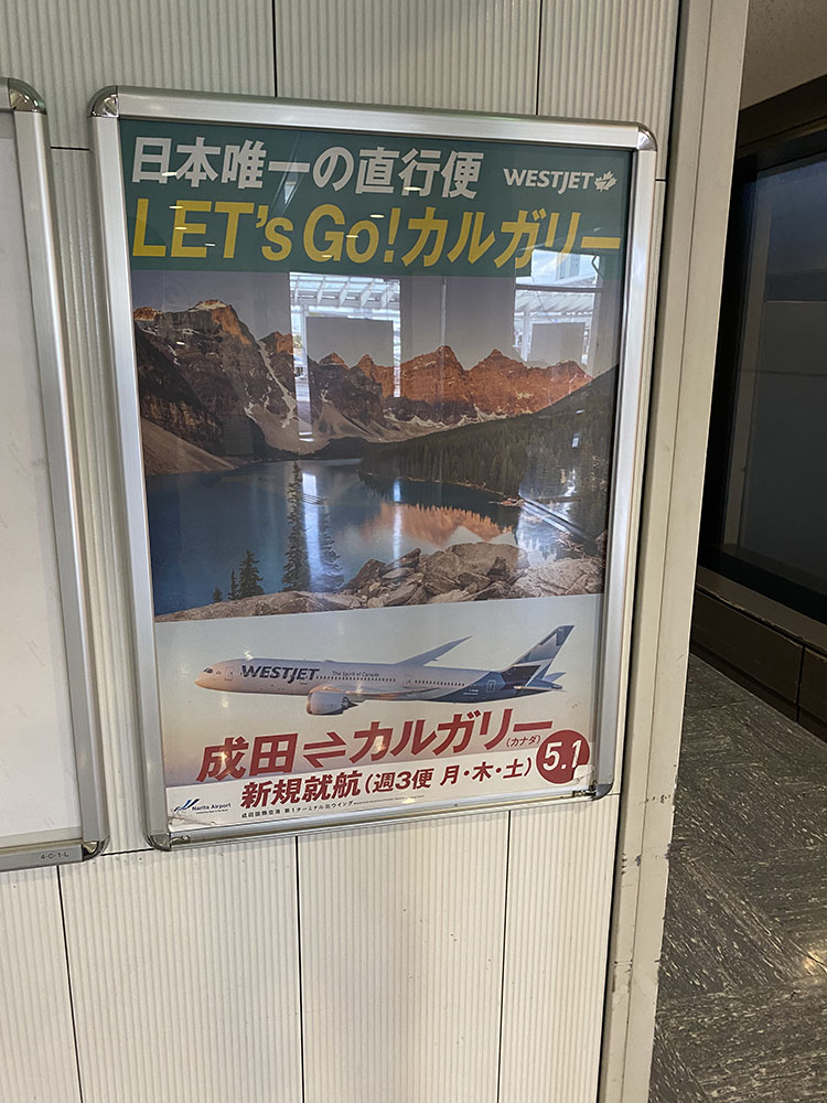 成田線新参入航空会社